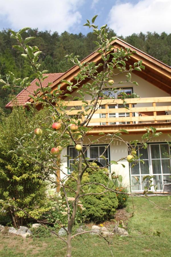 Ferienwohnung Purbach Muggendorf  Экстерьер фото